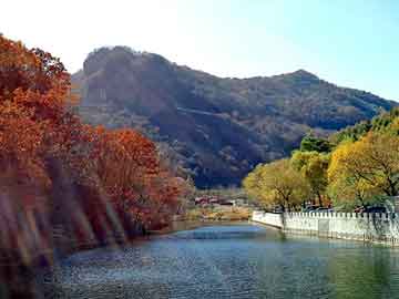 掌纹门