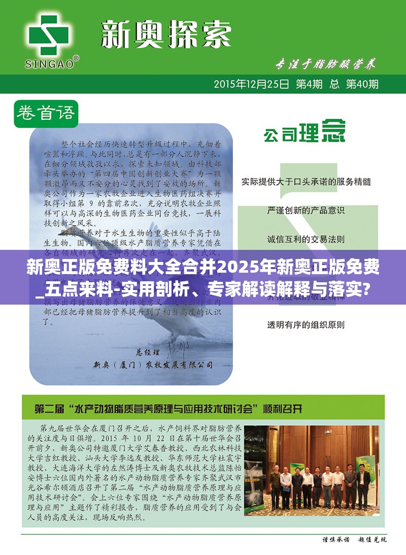 实用剖析与专家解读解释