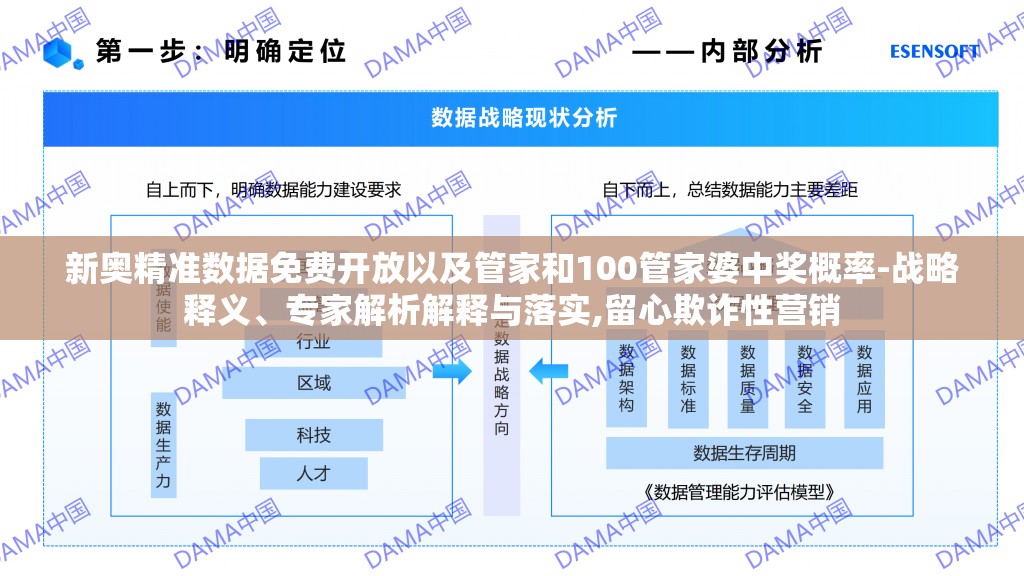 战略释义与专家解析解释